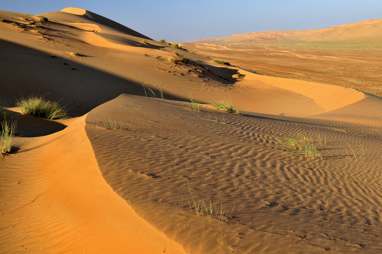 Wahiba Sands Ash Sharqiya Oman 0680